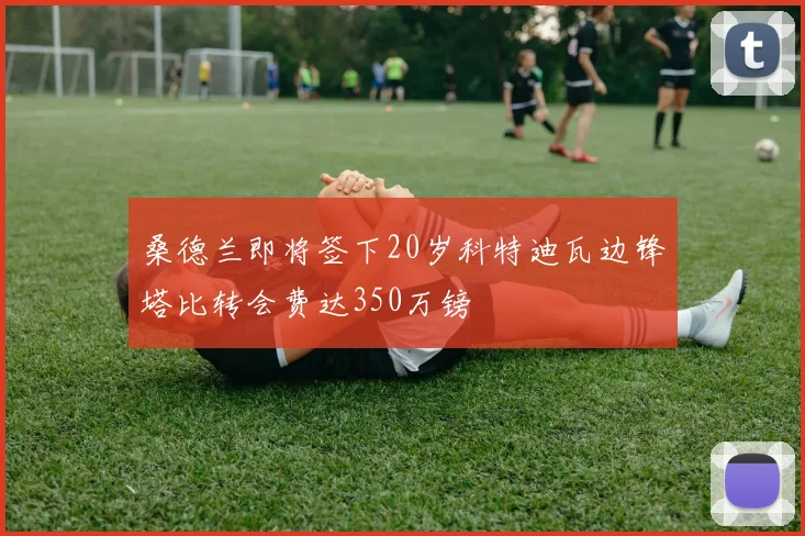 桑德兰即将签下20岁科特迪瓦边锋塔比转会费达350万镑